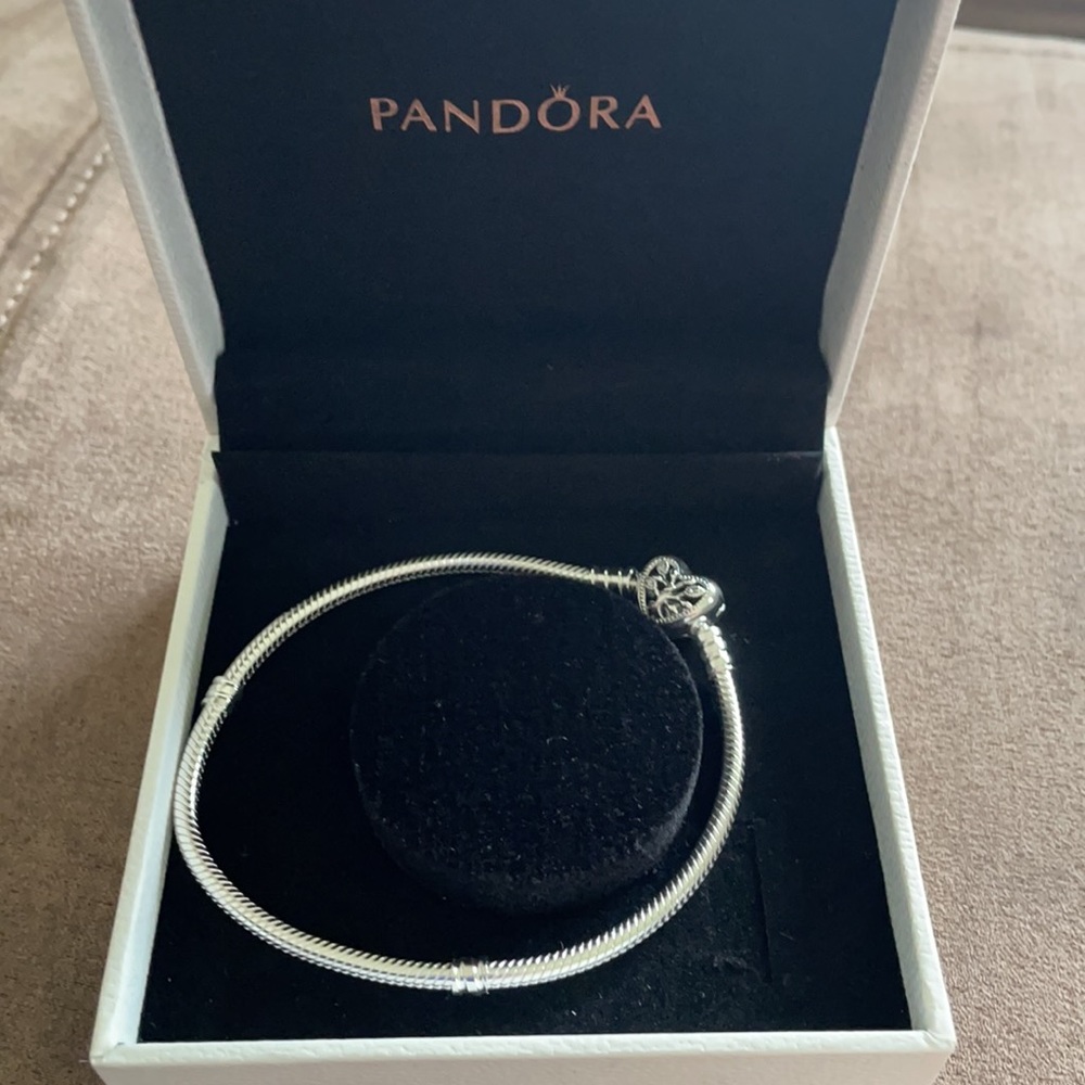 New Pandora bracelet